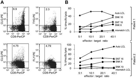 Figure 2. Specific killing of EBV+ malignant NK and T cells by polyclonal CTLs, containing LMP2-specificities, from ENKTL patients. (A) Dual-color flow cytometry of CTLs derived from 2 ENKTL patients prepared by ex vivo stimulation with LMP2/LMP1 transfected antigen-presenting cells. CTLs were stained with a PerCP (peridinin-chlorophyll protein)–conjugated anti-CD8 antibody and with the phycoerythrin-conjugated HLA-peptide pentamers: HLA-A*0201-CLGGLLTMV, HLA-A*0201-FLYALALLL, HLA-A24-TYGPVFMSL as previously described.5 Numbers within the top right quadrant of each plot indicate the percentage of viable peptide/pentamer-specific CD8+ cells. (B) The CTLs shown in panel A were tested in standard 51Chromium-release assays for their ability to kill EBV+ NK- and T-cell tumor lines. Results are expressed as the mean percentage of specific chromium release from the target cells at effector:target ratios titrated from 5:1 to 40:1, tested in triplicate. Autologous and HLA-mismatched LCLs were positive and negative controls, respectively, for each assay.