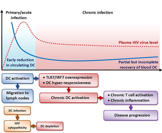 Schematic representation of the changes in blood DC numbers (blue line, both pDCs and mDCs) over time compared with HIV plasma viral load (dotted red line) during the acute (light blue background) and chronic (red background) phases of infection. The flowchart below the graph illustrates cellular and molecular events that may affect DC dynamics and their consequences on HIV disease. Activation of DCs during acute infection leads to their migration to lymphoid tissues, resulting in the reduction of circulating DCs. HIV-mediated cytopathic effect may contribute to DC depletion. Activated DCs are hyperresponsive to further stimulation due to overexpression of Toll-like receptor 7 (TLR7) and interferon regulatory factor 7 (IRF7). Chronic activation of DCs supports pathogenic T-cell activation and chronic inflammation.
