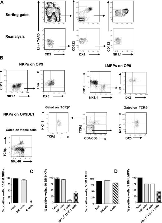 Figure 1. BM NKPs can efficiently generate NK and T cells in vitro. Ten Lin−CD122+NK1.1−DX5− NKPs and 5 Lin−KIT+SCA-1+FLT3high LMPPs sorted from BM of 8- to 12-week-old mice were cultured on OP9 and OP9DL1 stroma cell lines with cytokines: KL, IL-7 (first week only), FL, IL-2, and IL-15. After 14 and 21 days, cells were harvested and evaluated for NK (TCR-β−NK1.1+DX5+ or CD3−NK1.1+DX5+), B (CD19+), T (TCR-β+NK1.1−CD4+/CD8+ or NK1.1−CD3+CD4+/CD8+), and NK1.1+TCR+ T cells (TCR-β+NK1.1+DX5+) by FACS. ToPro was used to exclude dead cells. (A) Representative FACS profiles of gating and the reanalysis of sorting the Lin−CD122+DX5−NK1.1− NKPs. After gating on Lin−CD3− cells, the CD122+DX5− gate was set and finally the CD122+NK1.1− gate was selected. (Bottom panels) Reanalysis after sorting; the purity was reproducibly more than 98%. (B) Representative FACS profiles of cells generated from NKPs and LMPPs cultured on OP9 and OP9DL1 stroma. The specific gates are indicated in the text above the plot and by the arrow. (C) Mean (SD) proportion of total positive wells and wells containing NK, B, T, and NK1.1+TCR+ T cells generated from 10 NKPs cultured on OP9 (left panel) and OP9DL1 (right panel). Data represent mean (SD) values from 6 or 7 independent experiments with at least 16 to 24 wells analyzed in each experiment. (D) Proportion of total positive wells and wells containing NK, B, T, and NK1.1+TCR+ T cells, generated from 5 LMPPs cultured on OP9 (left panel) and OP9DL1 (right panel). Data are from representative experiment with 16 to 36 wells analyzed.