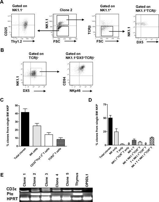 Figure 3. BM single Lin−CD122+NK1.1−DX5− NKPs have combined NK- and T-cell potential. Single BM Lin−CD122+NK1.1−DX5− NKPs were directly sorted into OP9DL1 stroma layers and cultured with KL, IL-7 (first week), FL, IL-2, and IL-15. After 14 and 21 days, clones were harvested and analyzed by FACS. ToPro was used to eliminate dead cells. (A-B) FACS profiles of representative clones generated from a single Lin−CD122+NK1.1−DX5− NKP. Text above profiles indicates prior gating. (C) Mean (SD) proportion of total proliferating clones and clones containing NK (TCR-β−NK1.1+DX5+) and T (NK1.1−CD25+Thy1.2+ or NK1.1−CD25+ Thy1.2+ TCR-β+) cells generated from single NKPs. Data expressed in relation to plated single cells, from 3 independent experiments, with total 167 plated cells and 105 clones analyzed. (D) Mean (SD) proportion of total clones and clones containing NK (TCR-β−NK1.1+ DX5+), T (TCR-β+NK1.1−CD4+/CD8+, NK1.1− CD25+Thy1.2+, or NK1.1−CD25+Thy1.2+ TCR-β+), and TCR+NK1.1+ T cells, or combinations of these, generated from single NKPs. Data are expressed in relation to number of plated single cells, from 6 independent experiments, with a total 382 single cells plated and 201 clones analyzed. (E) Clones generated from single NKPs (shown in panels A and C), shown to have combined NK- and T-cell potential by FACS, were analyzed by RT-PCR for Cd3e, Ptcra, and Hprt gene expression. Thymocytes were used as positive control and OP9DL1 stroma cells cultured without hematopoietic cells as a negative control. Ethidium bromide–stained agarose gels with resulting PCR products from RT-PCR analysis of Cd3e, Ptcra, and Hprt. The photo has been taken using Gel logic 100 (Kodak). Data from 1 of 2 experiments with similar results. Note that clone 2 is the same clone derived from a single Lin−CD122+NK1.1−DX5− NKP and analyzed by FACS in panel A.