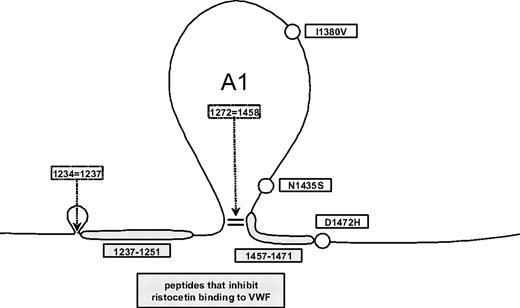 Figure 2. Common exon 28 SNPs found in the VWF A1 loop. Circles represent the approximate location of the 3 common SNPs, I1380V, N1435S, and D1472H, which were seen most frequently in the African American controls; gray boxes, known regions implicated in VWF-ristocetin interactions.