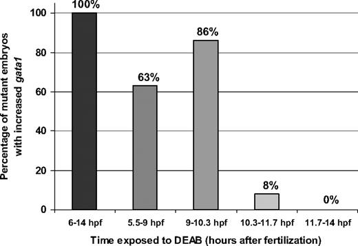 Figure 5. Percentage of cdx4−/− embryos rescued after treatment with DEAB at different stages of development. Embryos from incrosses of cdx4+/− heterozygotes were treated with DMSO or DEAB (2 × 10−5M) at various stages of development. The height of each bar indicates the percentage of total cdx4−/− embryos with increased gata1 expression after DEAB treatment compared with untreated embryos. The total number of mutant embryos for each incubation period was compiled from 2 to 3 separate experiments. The raw data are presented in Table 1.