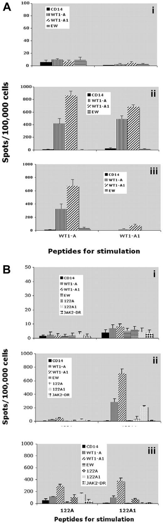 Figure 4. IFN-γ secretion. CD3+ T cells from patient 5 were stimulated twice with WT1-A (native), WT1-A1 (analog) (A), 122A (native), or 122A1 (analog) (B) peptides. IFN-γ–secreting T cells were measured by ELISPOT assay after challenge with the indicated peptides. Controls were: no peptide (only CD14+ APCs) or with irrelevant Ewing sarcoma–derived peptide (EW) (A) or JAK-2 derived peptide (JAK-2 DR) (B). Data are mean ± SD from quadruplicate cultures from prevaccine (i), postvaccine 3 (ii), and postvaccine 6 (iii). Results indicate that a WT1-A–specific response can be generated not only by the HLA-A0201 restricted peptide but also by the HLA-DR peptide (WT1 122A1) that contains the embedded short sequence, demonstrating the processing and presentation of the WT1-A epitope.