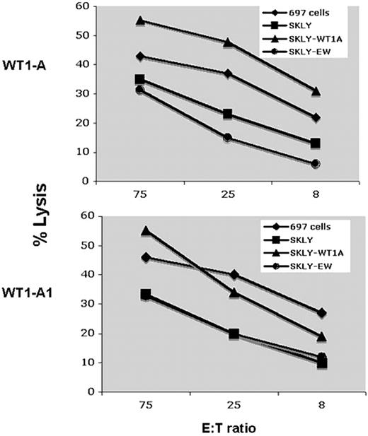Figure 6. Cytotoxicity assay. CD3+ T cells from patient 5 were stimulated with WT1-A or WT1A1 peptides twice as described in Figure 5. Target cells used included the ALL derived 697 cell line (A0201+; WT1+) and the B-cell lymphoma cell line SKLY-16 (A0201+; WT1−). The cytotoxicity of the T cells was measured using a standard 51Cr release assay. The SKLY-16 cells pulsed with WT1-A (SKLY-WT1A) or an irrelevant Ewing sarcoma–derived HLA-A0201 binding peptide (SKLY-EW) were used as positive and negative controls for the specificity of killing. Effector/target (E:T) ratios are indicated on the x-axis. Data demonstrate T cell–specific killing against WT1 plus HLA-matched targets.