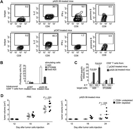 Figure 7. The CD8+ T activity significantly contributes to pA20-36–induced tumor growth inhibition. (A) Intracellular cytokines expression of tumor-infiltrating CD8+ T cells. Purified CD8+ T cells from pCNT- or pA20-36–treated tumor masses were incubated with A20 tumor cells for 3 hours and then analyzed for intracellular expression of IL-2, interferon-γ (IFN-γ), and granzyme B by flow cytometry. A representative experiment of 2 independent experiments with similar results is shown. Numbers in the quadrants indicate the percentage of cells. (B) Antigen-specific proliferation of tumor-infiltrating CD8+ T cells. Purified CD8+ T cells from tumor mass of pCNT- or pA20-36–treated mice were stained with CFSE, incubated with A20 or 5T33MM tumor cells (5 × 103), and 1 week later measured by flow cytometry. Percentage of proliferating CD8+ T cells was calculated from CFSE profiles with the use of FlowJo software, as described in “Methods.” Values are the mean ± SD (n = 3). A representative experiment of 2 independent experiments with similar results is shown. (C) Cytotoxic activity of tumor-infiltrating CD8+ T cells. Purified CD8+ T cells (effector cells, E) from pCNT- or pA20-36–treated tumor masses were incubated with BATDA-labeled A20 or 5T33MM cells (5 × 103) (target cells, T), at ratio of 50:1 and 100:1. BATDA-specific release was measured by time-resolved fluorometry. Maximal release of BATDA was measured by incubating target cells in lysis buffer containing 1% Triton X-100; spontaneous release was measured by incubating cells in medium alone. Cytolytic activity was calculated as follows: (experimental release − spontaneous release)/(Triton X-100 release × spontaneous release) × 100. Values are the mean ± SD (n = 3); statistical analysis was performed by Student t test. A representative experiment of 2 independent experiments with similar results is shown. (D) CD8+ T cells contributed to anti-tumor activity of pA20-36 peptide. BALB/c mice (n = 6/group) were antibody-mediated depleted of CD8+ T cells or left undepleted and were subcutaneously injected with A20 tumor cells (5 × 106); mice were then treated intravenously with pA20-36 or scrambled pCNT (200 mg ≃ kg−1 ≃ d−1), beginning the day after tumor injection. Tumor volumes were evaluated at the indicated time after tumor injection. A representative experiment of 2 independent experiments is shown. Symbols represent the tumor volume of each individual mouse; horizontal lines indicate the mean. Statistical analysis was performed by 2-way analysis of variance.