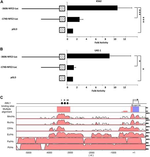 Figure 2. Deletion Analysis of the NF-E2 1A promoter in K562 and UKE-1 cells. A DNA fragment encoding bp −3606 to bp +1 upstream of the exon 1A transcriptional start site was cloned into the pGL3-Luciferase reporter vector. A deletion mutant encoding bp −1740 to +1 of the NF-E2 1A promoter was generated. Both constructs as well as the empty pGL 3 luciferase vector were transiently nucleofected into K562 cells (A) or UKE-1 cells (B). At 24 hours after transfection, luciferase activity was determined. Results were normalized for transfection efficiency by cotransfection of a Tk-driven Renilla luciferase reporter gene vector. Mean and standard deviation of 3 independent experiments, each measured in duplicate, are shown. ***P < .001, one-way ANOVA, *P < .05 Kruskal Wallis one-way ANOVA on Ranks. (C) Phylogenetic conservation of the NF-E2 1A promoter region. Top: schematic representation of the NF-E2 promoter, exon 1A, indicated by an open box, and the 3 predicted AML1 binding sites, indicated by black boxes and numbered I, II, and III. Top row: Multiple alignment of the NF-E2 promoter sequence across all indicated species by use of Genome Vista software. Promoter segments showing more than 75% identity are highlighted in pink, exonic sequences in cyan. Remaining rows: Pair-wise alignment of the NF-E2 promoter species across the indicated species. Hs indicates Homo sapiens; Mm, Mus musculus; Rn, Rattus norvegicus; cf, Canis familiaris; Ec, Equus caballus; Pa, Pongo pygmaeus abelii; and Pt, Pan troglodytes. Promoter segments showing more than 75% identity are highlighted in pink, exonic sequences in cyan.