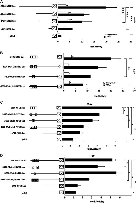 Figure 3. Figure 3. Effect of AML1 on NF-E2 1A promoter activity. (A) Cotransfection of AML1. Plasmids encoding the −3606 bp NF-E2-1A promoter-Luciferase construct or the −1740-bp fragment, a −1439-bp fragment, a −167-bp fragment, or the empty pGL3 vector were cotransfected into γ-2A cells either with an expression vector for AML1 (filled bars) or with an empty control vector (open bars). Luciferase activity was measured 16 hours after transfection and normalized for transfection efficiency by determination of Renilla luciferase activity from a cotransfected vector. Activity of the empty pGL3 vector was set at 1, and fold activity relative to this control is depicted. Bar graphs represent the mean ± SD of 4 independent experiments, each performed in duplicate, ***P < .001 by one-way ANOVA. (B) Cotransfection of AML1 and mutation of AML1 binding sites. Plasmids encoding the wild-type −3606 bp NF-E2-1A promoter-Luciferase construct or vectors in which one or several of the AML1 binding sites (open boxes) were mutated (indicated by crosses in the boxes) were cotransfected into γ-2A cells, either with an expression vector for AML1 (filled bars) or with an empty control vector (open bars). The introduced mutations have previously been shown to inactivate AML1 DNA binding.30 Luciferase activity was measured 16 hours after transfection and normalized for transfection efficiency by determination of Renilla luciferase activity from a cotransfected vector. Activity of the empty pGL3 vector was set at 1, and fold activity relative to this control is depicted. Bar graphs represent the mean ± SD of 4 independent experiments, each performed in duplicate ***P < .001, **P < .01 by one-way ANOVA. (C-D) Effect of mutating the AML1 binding sites on NF-E2 promoter activity in hematopoietic cells. Plasmids encoding the −3606-bp NF-E2-1A promoter-Luciferase construct, the −3606-bp NF-E2-1A construct in which one or several of the AML1 binding sites (open boxes) were mutated (indicated by crosses in the boxes) or the −1740-bp NF-E2 1A fragment were transiently nucleofected into K562 cells (C) or UKE-1 cells (D). At 24 hours after transfection, luciferase activity was determined. Results were normalized for transfection efficiency by cotransfection of a Tk-driven Renilla luciferase reporter gene vector. Mean and SD of 3 independent experiments, each measured in duplicate, are shown. *P < .05 by Kruskal Wallis one-way ANOVA on Ranks.