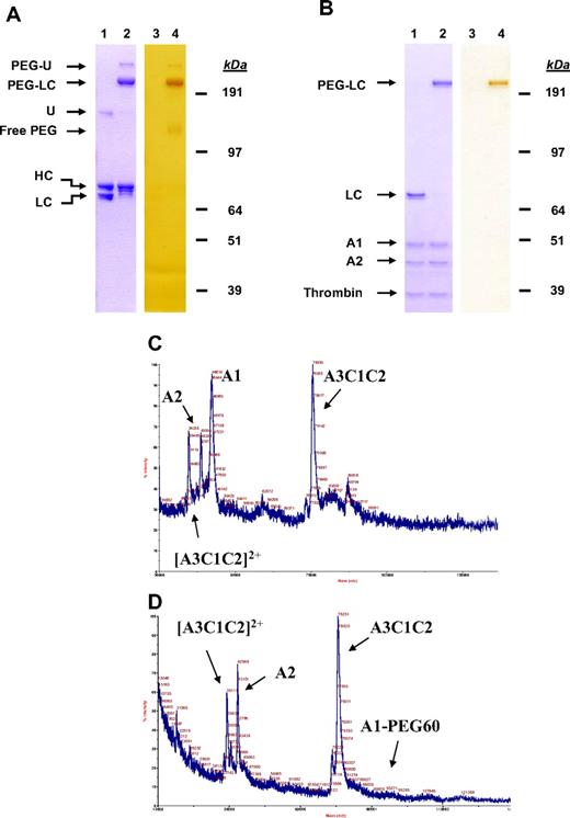 Figure 3. Cysteine-directed PEGylation of FVIII is highly specific. (A) FVIII K1804C before (lanes 1,3) and after (lanes 2,4) conjugation with a 60-kDa PEG was separated on SDS-PAGE and stained with Coomassie Blue for protein (lanes 1,2) or with barium iodide for PEG (lanes 3 and 4). (B) FVIII K1804C before (lanes 1,3) and after (lanes 2,4) conjugation with a 60-kDa PEG was digested with thrombin, separated on SDS-PAGE, and stained with Coomassie Blue for protein (lanes 1,2) or with barium iodide for PEG (lanes 3,4). (C-D) FVIII F129C before (C) and after (D) conjugation with a 60-kDa PEG was digested with thrombin and analyzed by MALDI-MS. Samples were spotted onto a MALDI target (0.3 μL) with the same volume of a MALDI matrix composed of sinappinic acid (Sigma-Aldrich) in 0.1% trifluoroacetic acid in water (70%) and acetonitrile (30%). HC indicates heavy chain; and LC, light chain.