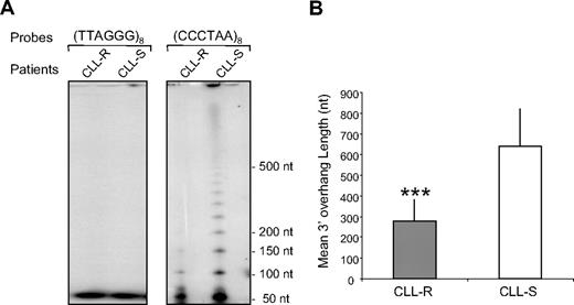 Figure 1. Assay of G-rich 3′ overhang length in CLL cells according to their in vitro sensitivity to apoptosis. G-rich 3′ overhang lengths are expressed as nucleotides (nt). (A) Representative example of a 3′ overhang length measurement using the T-OLA analysis. As indicated, 2 probes were tested: one complementary to the 3′ overhang (CCCTAA)8 and one homologous to the 3′ overhang sequence (negative control; TTAGGG)8. (B) Comparison of the 3′ overhang lengths between CLL-R and CLL-S. Values are the mean 3′ overhang length (nt) ± SD (n = 10 for both CLL-R and CLL-S). The Mann-Whitney U test was used to assess statistical significance: ***P < .001.