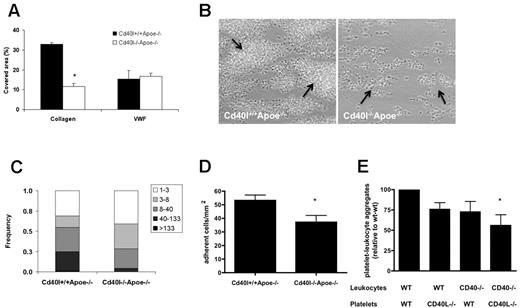 Figure 1. CD40L enhances collagen-dependent thrombus formation in Apoe-deficient mice under flow. (A) Heparin/D-phenylalanyl-L-prolyl-L-arginine chloromethylketone-anticoagulated blood from Cd40l+/+Apoe−/− or Cd40l−/−Apoe−/− mice was passed over VWF or collagen at shear rates of 1700 or 1000 seconds, respectively. (B) Representative phase-contrast images for platelets perfused over collagen are shown after 4 minutes of flow. Arrows indicate platelet aggregates (n = 4-6). *P < .05. (C) Size distribution of multiplatelet thrombi on collagen, established from morphometric image analysis reported as numbers of platelets per agglomerate. *P < .001. (D) Role of CD40L and CD40 in the formation of platelet leukocyte-aggregate mice. Numbers of leukocytes (cells/mm2) on immobilized Cd40l+/+Apoe−/− or Cd40l−/−Apoe−/− platelets (n = 6). *P < .05. (E) After in vitro coincubation, flow cytometric analysis of frequencies of CD41+CD11b+ cell aggregates, demonstrating the contribution of both platelet CD40L and leukocyte CD40 (n = 6). *P < .05 vs WT/WT.