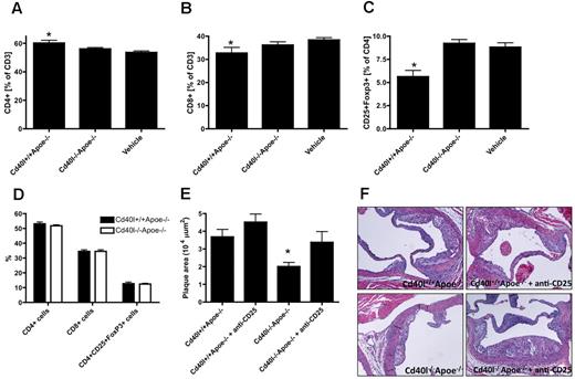 Figure 7. Platelet CD40L transiently disturbs T-cell homeostasis. Flow cytometric analysis of T-cell distribution in blood from adult Apoe−/− mice treated with activated Cd40l+/+Apoe−/− or Cd40l−/−Apoe−/− platelets, or vehicle 12 hours after injection. Percentage of CD4+ T cells (A), CD8+ T cells (B), and CD4+CD25+Foxp3+ regulatory T cells (C). (D) Forty-eight hours after injection of activated platelets, no differences in T-cell phenotype were observed. Anti-CD25 treatment increases atherosclerotic plaque area (E) on injection of Cd40l+/+Apoe−/− platelets and reverses the protective effect of platelet-CD40L deficiency on atherosclerosis. (E) Quantification and (F) representative figures of atherosclerotic plaques in the aortic root of Apoe−/− mice treated with activated Cd40l+/+Apoe−/− or Cd40l−/−Apoe−/− platelets in the absence or presence of an anti-CD25 antibody (n = 30). *P < .05 vs Cd40l+/+Apoe−/−.