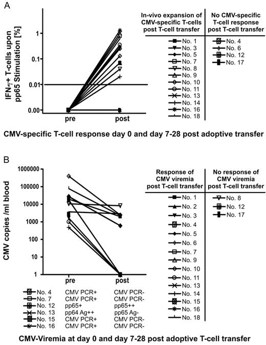Figure 2. In vivo T-cell response and virologic response after adoptive transfer of pp65-specific T cells for the treatment of refractory CMV infection post allogeneic stem cell transplantation. Adoptive T-cell transfer of pp65-specific T cells was performed in 18 patients after allogeneic SCT. All recipients had no detectable T-cell response before adoptive T-cell transfer. (A) Shown is the in vivo expansion of the transferred T cells within 4 weeks after adoptive T-cell transfer. Twelve of 16 patients had a successful T-cell response after adoptive T-cell transfer. Detection of Ag-specific T cells was done by stimulation of blood samples with recombinant pp65, followed by intracellular cytokine staining in flow cytometry after 16 hours. Although control Ag's did not usually stimulate any IFN-γ production, the percentage of specific T cells was calculated by subtraction of the frequency obtained by the respective negative control. The threshold of a positive Ag-specific T-cell response was 0.01% of viable T cells. (B) Shown is the virologic response to adoptive T-cell transfer in terms of viral copies in peripheral blood. Before the T-cell transfer, all patients had increasing viral load unresponsive to treatment with ganciclovir or foscarnet or both. In patients 4, 7, 15, and 16 quantitative polymerase chain reaction of the virologic response was not available, but qualitative polymerase chain reaction results changed from positive to negative. In patient 13 only pp65 antigenemia was available, which turned to zero 26 days after adoptive T-cell transfer. Patients 2 and 15 are missing in panel A, because blood samples were not available for analysis.