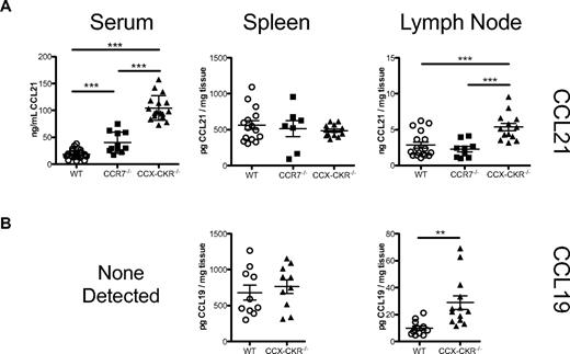 Figure 1. CCX-CKR regulates circulating and peripheral LN chemokine abundance. (A) Diluted serum, or protein lysates from LNs (pooled inguinal, axillary, and brachial LNs) or spleens, from resting wild-type, CCR7−/−, or CCX-CKR−/− mice (8- to 16-week-old males) were analyzed using a 2-site ELISA for CCL21. Concentrations were calculated from a standard curve of serial dilutions of recombinant CCL21. Each data point shown is the concentration of CCL21 (per milligram or per milliliter) in that tissue from each individual mouse. The mean ± SD is indicated (***P < .001, **P < .01). (B) Diluted serum, or protein lysates from LNs (pooled inguinal, axillary, and brachial LNs) or spleens, from resting wild-type or CCX-CKR−/− mice (8- to 16-week-old males) were analyzed using a 2-site ELISA for CCL19. Concentrations were calculated from a standard curve of serial dilutions of recombinant CCL19. Each data point shown is the concentration of CCL19 (per milligram or per milliliter) in that tissue from each individual mouse. The mean ± SD is indicated (***P < .001, **P < .01). As indicated, serum CCL19 levels were below the limit of detection (< 100 pg/mL). In all cases, data are pooled from at least 2 individual experiments.