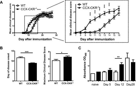 Figure 2. CCX-CKR−/− mice develop EAE with enhanced kinetics and severity. Female CCX-CKR−/− and wild-type C57BL/6 mice between 6-12 weeks of age were immunized for EAE and the clinical disease monitored daily. (A) Main graph: Clinical disease scores over a 28-day time course after immunization. Data are pooled from 3 separate experiments with 23 mice per group in total and are shown as the mean clinical disease score ± SEM (***P < .001 comparing CCX-CKR−/− with wild-type using 2-way ANOVA). (Inset) Clinical disease scores between days 6 and 16 postimmunization (***P < .001 between CCX-CKR−/− and wild-type mice using Bonferroni posttests on indicated days). (B) Day of onset and maximum scores of clinical disease symptoms from these experiments. Data shown are the mean day of onset ± SEM (***P < .001) and the mean maximum score ± SEM (***P < .001). (C) Mice were immunized for EAE and serum harvested from 5 or 6 mice per group per time point on days 0, 5, 12, and 21. Serum was then diluted 1/5 and analyzed for the presence of MOG35-55-specific IgG by ELISA. Plotted is the mean optical density from each group ± SEM (**P < .01).