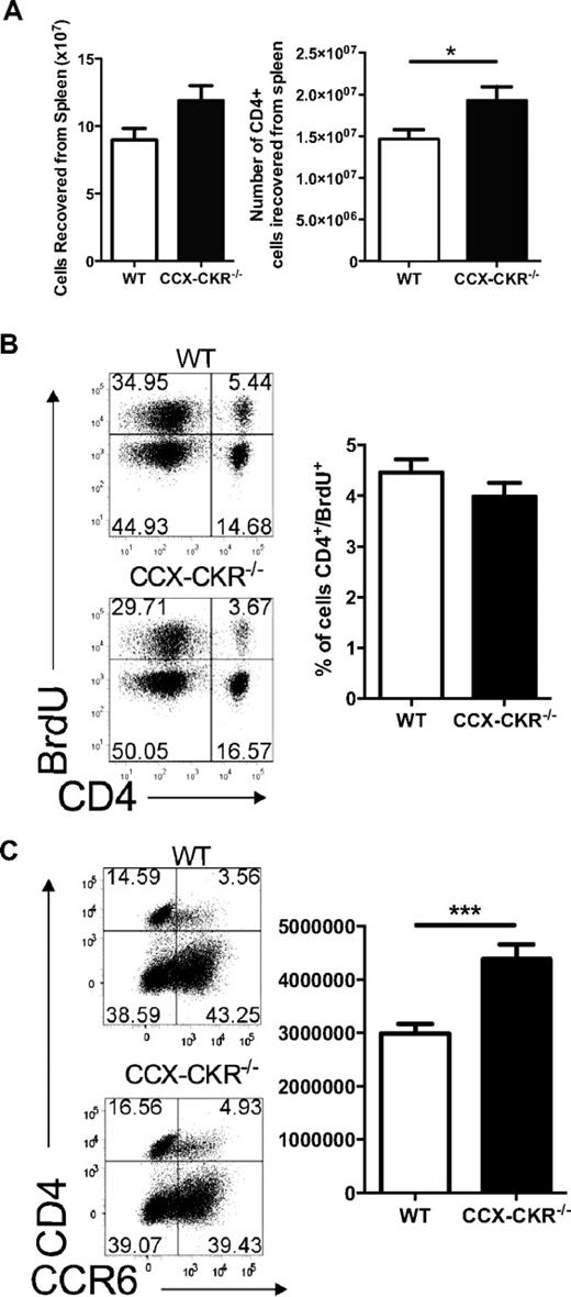 Figure 4. Immune priming in the spleen of wild-type and CCX-CKR−/− mice. (A) Total cell numbers and CD4+ cell numbers from wild-type and CCX-CKR−/− spleens on day 12 postimmunization for EAE. Data shown are the mean ± SEM (*P < .05). (B) Six mice per group were immunized for EAE and fed BrdU at 0.8 mg/mL in their drinking water from day 6. On day 9, draining LNs and spleens were harvested, stained for CD4+ and BrdU, and analyzed by flow cytometry. Representative dot plots are shown. Data are the mean proportion of CD4+/BrdU+ cells ± SEM. (C) On day 12 postimmunization for EAE, spleens were harvested, red blood cells lysed, viable cells counted, and cells cultured overnight at 4 × 106/mL in complete RPMI at 37°C, 5% CO2. Cells were then harvested and stained for flow cytometric analysis. Data shown are from 11 mice per group in total from 2 independent experiments pooled and represent the mean ± SEM (**P < .01). Representative dot plots showing the gating for CD4 and CCR6 are shown.