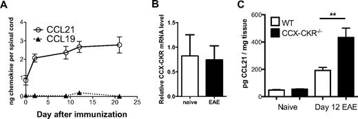 Figure 6. CCL21 abundance in the CNS is increased after immunization in CCX-CKR−/− mice. Female SJL/J mice were immunized for EAE. At days 0, 2, 4, 9, 12, and 21 mice were killed and spinal cords were collected with the protein fraction extracted. CCL19 and CCL21 protein levels were determined in the spinal cord using a 2-site ELISA assay. All data points represent the mean amount of chemokine recovered from the whole spinal cord ± SEM (n = 3 mice per time point). (B) Spinal cords from either naive wild-type or day 15 EAE mice were harvested, RNA extracted and cDNA reverse-transcribed. Real time PCR for CCX-CKR and acidic ribosomal phosphoprotein P0 (RPLP0) was then performed (n = 3 mice per group). (C) Spinal cord protein lysates were prepared from female wild-type and CCX-CKR−/− mice on days 0 and 12 postimmunization for MOG35-55 EAE and CCL21 protein levels assessed by ELISA. Data points show the mean amount of CCL21 per mg of spinal cord homogenized ± SEM (n = 9 mice per group per time point; **P < .01).