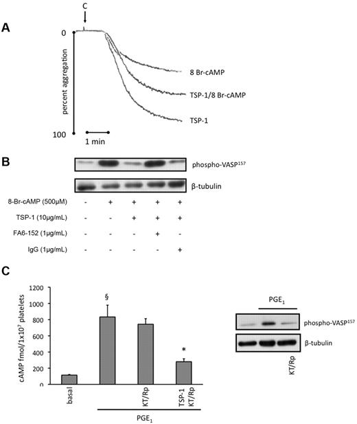 Figure 5. TSP-1 inhibits activation of PKA independently of changes in cAMP concentrations. (A) Platelets (3 × 108/mL) were preincubated with TSP-1 (10 μg/mL) for 15 minutes, followed by addition of 8-bromo-cAMP (500μM) for 15 minutes, and then stimulated with collagen (5 μg/mL) for 4 minutes under stirring conditions. Representative traces of 3 independent experiments. (B) Platelets (3 × 108/mL) were treated with 8-bromo-cAMP (500μM) alone for 15 minutes or TSP-1 (10 μg/mL) for 15 minutes followed by 8-bromo-cAMP for 15 minutes in the presence and absence of FA6-152 (1 μg/mL) or control IgG. Platelets were lysed, separated by SDS-PAGE and blotted for phosphoVASP-ser157, followed by reprobing for β-tubulin. Immunoblots are representative of 3 independent experiments. (C) Platelets (2 × 108/mL) were preincubated with PGE1 (0.1μM) alone for 30 seconds or with TSP-1 (10 mg/mL) for 15 minutes before PGE1, in the presence or absence KT-5720 (5μM) and Rp-cAMPS (0.5mM). cAMP levels were measured as per manufacturer's instructions and are expressed as fmol cAMP/1 × 107 platelets. Data are presented as mean ± SEM of 3 individual experiments. §P < .05, PGE1-stimulated cAMP compared with basal; *P < .05, PGE1-stimulated cAMP compared with the absence of TSP-1. Platelets (3 × 108/mL) were treated with PGE1 (0.1μM) for 30 seconds in the presence or absence KT-5720 (5μM) and Rp-cAMPS (0.5mM), and then immunoblotted for phosphoVASP-ser157 with a representative blot presented.
