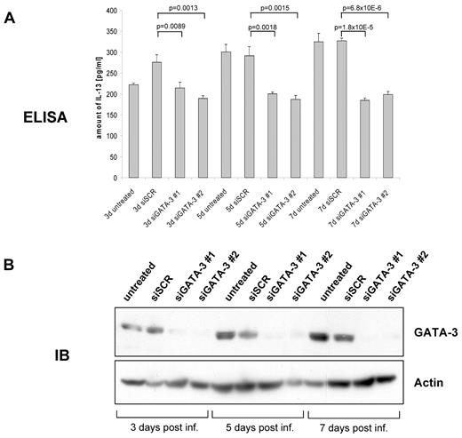 Figure 4. GATA3 regulates IL-13 expression in classical Hodgkin lymphoma cell lines. (A) Cell culture supernatant of siSCR, siGATA3 no. 1, and siGATA3 no. 2 transduced L-1236 cells 3, 5, and 7 days after infection were analyzed for IL-13 concentration by enzyme-linked immunosorbent assay in triplicate. Statistical significance was determined using a 2-tailed t test. (B) Protein lysates from cells corresponding to cell culture supernatants in (A) were prepared and 100 μg of protein were loaded onto SDS-PAGE. GATA3 abundance was detected with antibody sc-268. Actin served as loading control. One representative experiment of 3 independent experiments is shown.