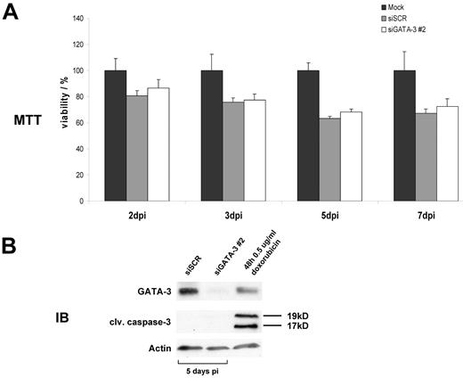 Figure 5. GATA3 has no antiapoptotic or prosurvival effect in HL. (A) MTT assay on transduced L-1236 cells 2, 3, 5, and 7 days postinfection (dpi). Results for mock infected cells were set as 100% viable cells. Values presented are the mean of triplicate measurements. (B) Protein lysates of L-1236 cells after viral small hairpin RNA transfer were assayed for GATA3, cleaved caspase-3, and actin abundance 5 days after infection. Treatment with doxorubicin for 48 hours served as a positive control for apoptosis induction. One representative assay of 3 independent experiments is given.