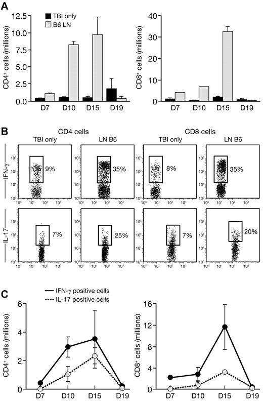 Figure 5. Increase frequencies and numbers of Th17 cells during the induction of BM failure in the mouse. CByB6F1 mice were irradiated (5 Gy TBI) and injected with 5 × 106 B6 LN cells. Three B6 LN mice as well as 3 controls (irradiated non–LN-injected, TBI-only) were killed at days 7, 10, 15, and 19 after LN injection. At each time point, BMMCs were stained with anti-CD4, anti-CD8 followed by intracellular IL-17, and IFN-γ antibody and examined by flow cytometry. Experiments are represented as mean ± SD. (A) Absolute numbers of CD4+ (top panel) and CD8+ (bottom panel) cells in the BM of B6 LN and control mice (TBI-only) at the indicated days after LN injection. (B) Representative flow cytometric analysis at day 15 of IFN-γ (top panels) and IL-17 (bottom panels) expression in CD4+ (left panels) and CD8+ (right panel) subsets, in TBI-only and LN B6 mice. The mean value of each group is indicated. (C) Absolute numbers of IL-17+ and IFN-γ+ cells in CD4+ (top panel) and CD8+ (bottom panel) compartment at the indicated days. Experiments are represented as mean plus or minus SD.