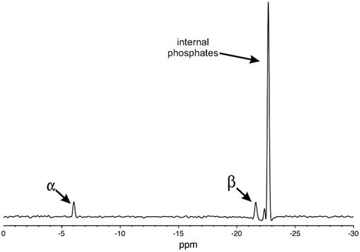 Figure 1. One-dimensional 31P NMR spectrum of 34mer polyP. Peaks corresponding to the 2 external phosphates (α), phosphates adjacent to the external phosphates (β), and internal phosphates, as indicated.
