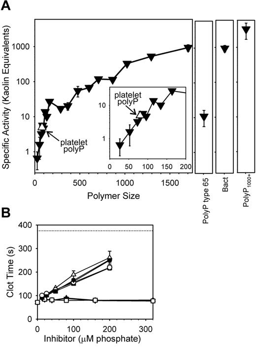 Figure 3. Initiation of clotting via the contact pathway is most efficient with very long polyP polymers. (A) Clotting was initiated by preincubating 5μM polyP with citrated plasma for 3 minutes at 37°C, after which calcium chloride was added and the time to clot formation recorded. PolyP specific activities were calculated by comparing polyP-initiated clotting times to a standard curve in which clotting was initiated by varying kaolin concentrations (see supplemental Figure 1C), yielding “kaolin equivalents” on a mass basis. Activities of sized-fractionated polyP preparations (▾) are compared with platelet-derived polyP (▿; also indicated with arrows), bacterial-derived polyP (“Bact”), polyP type 65, and PolyP1000+. The inset focuses on polymers shorter than 200mers. The point for platelet polyP was plotted at its mean polymer length (80mers). (B) Inhibition of contact-pathway–initiated clotting by an excess of small polyP polymers. Plasmas were preincubated for 3 minutes 37°C with a combination of 10μM polyP1000+ and the indicated concentrations of shorter phosphate/polyP preparations (identified as “inhibitor” on the x-axis), after which calcium chloride was added to allow clotting. The short phosphates were: monophosphate (▿), PPi (▴), and triphosphate (□) (none of which had any effect); and 11mers polyP (▾), 16mers polyP (○), 35mers polyP (■), 53mers polyP (▵), and 83mers (●) (which prolonged the clotting times in a concentration-dependent manner). The dotted line represents the clotting time in the absence of polyP. Data in all panels are mean ± SE (n = 3).