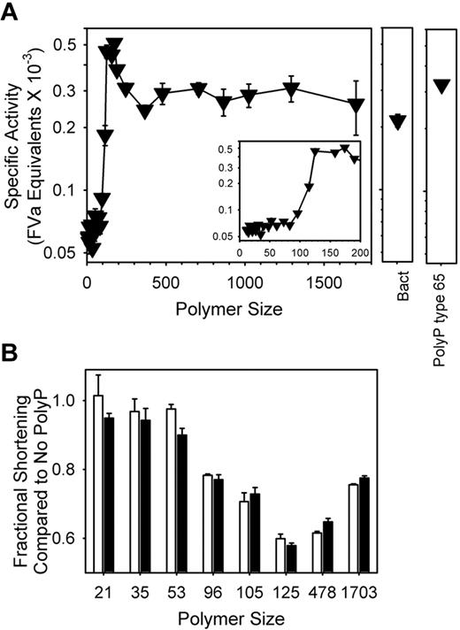 Figure 4. FXa-initiated clotting is accelerated by shorter polyP polymers than are required for initiating clotting via the contact pathway. PolyP (5μM) was added simultaneously to normal plasma together with 333 pM FXa and calcium chloride, and time to clot formation was measured. (A) PolyP specific activities were calculated by comparing polyP clot times to a standard curve in the absence of polyP, but in which varying FVa concentrations were added to plasma (not shown). The FVa concentration (in nM FVa) that yielded the same clotting time as a given polyP preparation was then divided by the polyP concentration (5000 nM). Sized-fractionated polyP preparations (▾) are compared with bacterial-derived polyP (“Bact”) and polyP type 65. The inset focuses on polymers shorter than 200mers. (B) Shortening of the FXa clotting time by polyP is independent of FXII. PolyP preparations of the indicated polymer sizes (all at 20μM phosphate) were added to FXa-initiated clotting reactions conducted with either pooled normal plasma (white bars) or FXII-deficient plasma (black bars). Clotting times with polyP were normalized to the clotting time of the respective plasma without polyP. Data in all panels are mean ± SE (n = 3).