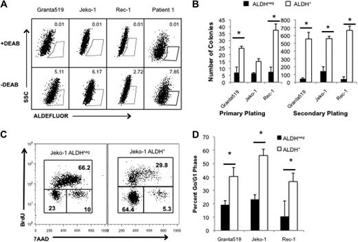 Figure 1. MCL cells with the highest ALDH activity have enhanced clonogenic capacity and are more quiescent than bulk cells. (A) ALDH analysis of the human MCL lines Granta 519, Jeko-1, and Rec-1 and a representative clinical specimen by flow cytometry. ALDH+ populations are defined by gating for live cells by forward side scatter and in parallel with diethylaminobenzaldehyde (DEAB)–treated controls. Positive gates are determined by DEAB-treated cells and set at 0.01% for DEAB controls. For the patient samples, MCL tumor cells were initially identified by gating for CD19+CD5+ cells. Values represent percentage within each gate. (B) Colony formation by 1000 ALDH+ or ALDHneg cells. (C) Cell cycle analysis of ALDH+ and ALDHneg Jeko-1 cells. Values represent percentage within each gate. (D) Frequency of ALDH+ and ALDHneg cells in G0/G1 (*P < .05; n = 3). SSC indicates side scatter; 7AAD indicates 7-amino-actinomycin D.