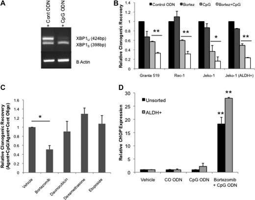 Figure 3. CpG ODN enhances the UPR and sensitivity to bortezomib. (A) RT-PCR for XBP1 spliced and unspliced (398- and 424-base pair fragments, respectively) forms in CpG ODN–treated Jeko-1 cells with and without bortezomib. (B) Relative clonogenic recovery of cells treated with CO or CpG ODN with or without bortezomib (*P < .05, **P < .01; n = 4). (C) Relative clonogenic recovery of Jeko-1 cells treated with CO or CpG ODN with or without bortezomib (10nM), daunorubicin (1nM), dexamethasone (1nM), or etoposide (0.1nM) or vehicle control (*P < .01; n = 3). (D) Quantitative RT-PCR for CHOP in Jeko-1 cells after treatment with phosphate-buffered saline vehicle, CO, or CpG ODN and bortezomib (**P < .02; n = 3).
