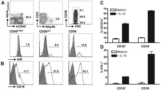 Figure 5. Terminally differentiated CD16+ NK cells acquire functional capacity after IL-15–mediated preactivation. Distribution of KIR+ (A) and CD16+ (B) NK cells in splenic CD56bright, CD56dim, and CD56− NK-cell subsets of hu-NSG mice, as gated in the top panels of (A) in comparison to isotype control staining or (B) staining on marker negative CD3+ cells (gray shaded histograms). Degranulation (C) and IFN-γ production (D) of unstimulated and preactivated CD16+ and CD16− NK cells after coculture with K562 cells were analyzed. A representative experiment of 2 is shown in panels A and B, while panels C and D represent composite data of 2 independent experiments. Numbers in plots represent frequencies within gates or marker regions.
