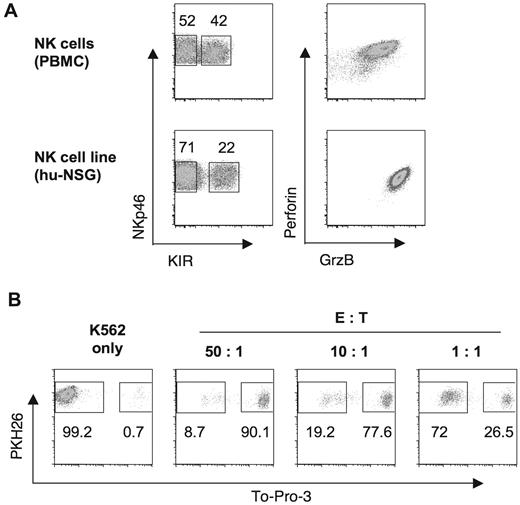 Figure 6. Cytotoxic ability of a human NK-cell line from reconstituted NSG mice. (A) Comparison of NKp46, KIR, perforin, and granzyme B (GrzB) expression of a reconstituted mouse-derived human NK-cell line with a line of human adult PB NK cells. (B) Cytotoxicity of the human NK-cell line from reconstituted NSG mice against K562. Loss of membrane integrity of PKH26-labeled K562 cells as a measure of cytotoxicity was assessed by To-Pro-3 iodide staining of DNA, which is blocked by intact cell membranes. Cytotoxicity was evaluated at the indicated NK:K562 (E:T) ratios. One representative of 6 experiments with 3 different NK-cell lines from 3 mice is shown. Numbers in plots represent frequencies within gates.