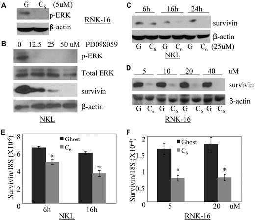 Figure 2. Nanoliposomal-C6 ceramide inhibits the activation of ERK, which subsequently down-regulates survivin expression. (A) Western blot analysis was performed for p-ERK after treatment of RNK-16 cells with 5μM ghost or C6 nanoliposome for 18 hours. The equal loading of protein was confirmed by β-actin probing. (B) Western blot analysis was performed for p-ERK, total ERK, or survivin after treatment of NKL cells with different doses of PD098059 for 18 hours. The equal loading of protein was confirmed by β-actin probing. (C) Western blot analysis was performed for survivin after treatment of NKL cells with 25μM ghost (G) or C6 nanoliposome (C6) for 6, 16, and 24 hours. The equal loading of protein was confirmed by β-actin probing. (D) Western blot analysis was performed for survivin after treatment of RNK-16 cells with different doses of either ghost or C6 nanoliposome for 24 hours. The equal loading of protein was confirmed by β-actin probing. (E) Quantitative real-time RT-PCR was performed to measure levels of survivin mRNA after treatment of NKL cells with 25μM ghost or C6 nanoliposome for 6 and 16 hours. *P < .05 indicates significance between ghost and C6 nanoliposome treated samples (Student t test). (F) Quantitative real-time RT-PCR was performed to measure levels of survivin mRNA after treatment of RNK-16 cells with 5 and 20μM ghost or C6 nanoliposome for 24 hours. *P < .05 indicates significance between ghost and C6 nanoliposome-treated samples (Student t test).