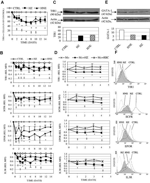 Figure 7. Inhibition of surface expression of TfR1, SCFR, EPOR, IL-3R, and of total protein of TfR1 and GATA-1 in erythroid cells cocultivated with HZ or treated with HNE. Erythroid cells were cocultivated with HZ (25μM HZ-heme), treated with HNE (7μM), or kept as untreated controls (CTRL) in liquid culture. (D) Erythroid cells were cocultivated with unfed (Mo), HZ-fed (Mo + HZ), or RBC-fed (Mo + RBC) monocytes in liquid culture. (A-B,D) The surface expression of antigens was quantified by flow cytometry after immune staining and expressed in panel A as the percentage of TfR1 highly positive treated cells referred to highly positive control cells and in panels B and D as relative MFI (REL MFI). Relative MFI is the ratio of the MFIs of treated to untreated cells. Means ± SE of 3 or more independent experiments. The significances of differences (P < .05) between controls and HZ-treated (*) or HNE-treated (§) cells (A-B), or between erythroid cells cocultivated with HZ-fed monocytes and unfed (*) or RBC-fed (§) monocytes are indicated (D). (C-E) Total protein expression of TfR1 (C) and GATA-1 (E) was analyzed in 15 μg and 30 μg lysate protein from cells harvested on days 1 and 6 after addition of HZ/HNE. Proteins were separated by 1-dimensional SDS-PAGE and Western blotted. Transferred proteins were probed with specific primary antibodies and detected by binding of appropriate secondary antibodies. TfR1 and GATA-1 evidenced by ECL and the densitometric analysis are shown. One representative experiment of 3 is shown. Actin is included as loading control. (F) Representative expression profiles of cell surface TfR1, SCFR, EPOR, and IL-3R measured by flow cytometry in erythroid cells after 1 day coincubation with HZ (solid line filled space) and HNE (dotted line unfilled space); control erythroid cells plotted as solid line/unfilled space and background as dashed line/unfilled space.