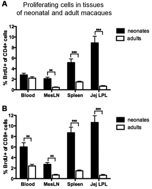 Figure 1. Comparison of proliferating (BrdU+) CD4+ T cells and CD8+ T cells from various tissues of uninfected adults and neonatal rhesus macaques. (A) CD4+ T cells. (B) CD8+ T cells. Black bars represent means of 13 normal neonatal macaques (3-21 days old), and white bars represents 10 normal adult macaques (> 4 years old). Note that neonates have far more proliferating T cells than adults, especially in the intestine and spleen. Bars represent mean percentages of BrdU+ lymphocytes gated through CD4 and/or CD8 ± SEM. Significant differences between adults and neonates are indicated by asterisks (**P < .01, ***P < .001) using a Mann Whitney U test.