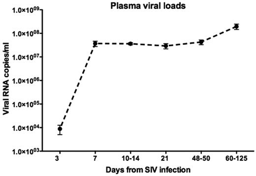 Figure 3. Mean plasma viral loads in neonatal macaques infected with SIVmac251 as determined by bDNA assay. Note that viral loads do not “peak,” and instead remain persistently elevated in pediatric macaques throughout the course of infection. Error bars reflect SEM. The limit of detection was 125 viral copies/mL plasma.
