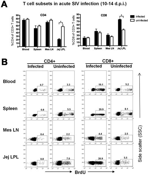 Figure 4. Examination of total CD4+ and CD8+ T cells and percentages of proliferating T-cell subsets from various tissues of neonates 10-14 days after SIV infection. (A) Bar charts demonstrating marked depletion of intestinal CD4+ T cells occurs by 10-14 dpi, accompanied by significant increases in intestinal CD8+ T cells, yet minimal changes are detected in CD4+/CD8+ T cells in the blood, lymph node or spleen in early SIV infection. Bars represent percentage of CD3+ gated lymphocytes expressing CD4 or CD8. Data are expressed as mean ± SEM (B) Representative flow cytometry confirms marked and selective depletion of proliferating (BrdU+) CD4+ T cells (left panels) concurrent with marked increase in CD8+ T-cell proliferation in early SIV infection (right panels). All plots were generated by gating through CD3+ lymphocytes and then CD4+ or CD8+ T cells. Data in panel B are from representative plots from a SIV-infected neonate 12 dpi and an age-matched (12-day-old) uninfected control.