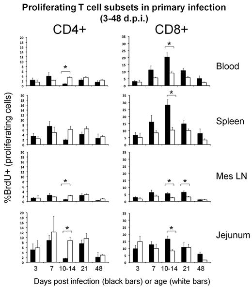 Figure 5. Changes in proliferating CD4+ and CD8+ T cells in neonatal tissues in SIV infection. Bars reflect percentages of each subset labeled with BrdU in respective tissues of SIV-infected (black bars) and uninfected age-matched normal neonates (white bars) at various stages of acute infection or age. Note by 12-14 dpi, there is marked depletion of proliferating CD4+ T cells (left) corresponding with a significant increase in proliferating CD8+ T cells (right). Data represent mean percentages of BrdU+ cells gated through either CD4+ or CD8+ T cells in each group ± SEM).