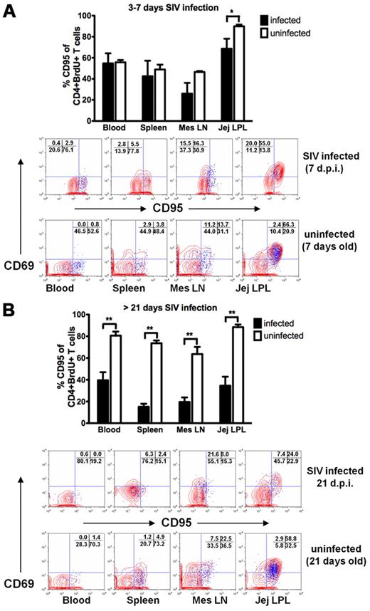 Figure 6. Changes in proliferating memory CD4+ T-cell subsets in neonatal tissues in pediatric SIV infection. (A) Very early, selective depletion of proliferating memory (BrdU+ CD95+) CD4+ T cells was consistently observed in the intestine of infected neonates by 3-7 days of infection. (B) After 21 days infection, massive loss of proliferating memory CD4+ T cells persists in all tissues examined. Flow cytometric plots indicate the distribution and frequency of proliferating (BrdU+, blue) cells in tissues having an activated (CD69+) and/or memory (CD95+) phenotype among all gated CD4+ T lymphocytes. Plots were gated through CD3+CD4+ lymphocytes. Data are expressed as means ± SE (*P < .05, **P < .01).