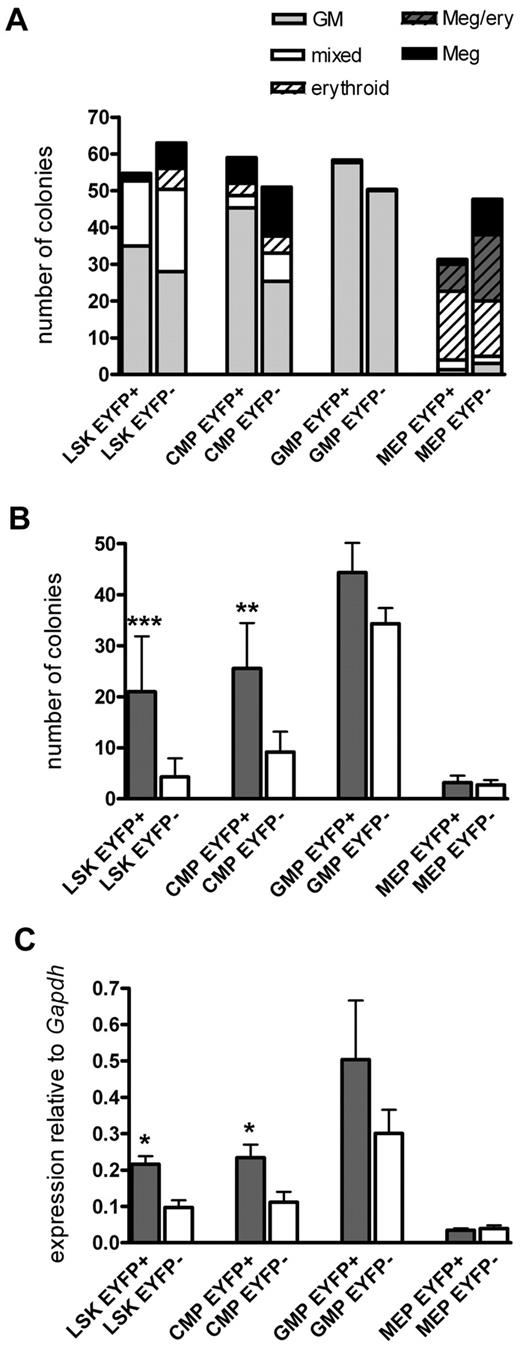 Figure 3. Colony-forming capacity and actual Cebpa expression levels in Cebpa/EYFP+ and Cebpa/EYFP+ stem and progenitor populations. (A) Double- sorted EYFP+ and EYFP− stem and progenitor cells were cultured in Methocult 3231 with a mixed cytokine cocktail (thrombopoietin, FLT3L, SCF, IL-3, IL-11, GM-CSF, and erythropoietin) and types of colonies were determined morphologically from day 7 to 14. The identity of single colonies was confirmed by staining cells of individual colonies with May-Grünwald-Giemsa. Results show the numbers of colony types of 1 representative of 3 experiments done in triplicates. (B) Indicated EYFP+ and EYFP− cell populations were cultured in Methocult 3231 with GM-CSF, and the number of colonies was determined on day 8. Results show the mean ± SD of 3 independent experiments done in triplicate. **P < .01. ***P < .001. All colonies derived from EYFP− progenitor cells eventually became EYFP+ after GM-CSF stimulation. (C) Cebpa mRNA levels relative to Gapdh expression in indicated EYFP+ and EYFP− cell populations, as determined by quantitative PCR (mean ± SEM; n = 5). *P < .05.