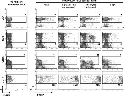 Figure 1. Monocyte-mediated trogocytosis of RBCs sensitized with e-IgA autoantibodies. PKH-67–labeled RBCs were incubated with PBMCs for 90 minutes. Spontaneous membrane transfer between RBCs and various leukocyte populations (see the gates; column I), before (T0) and after coculture (T90) are visualized as an acquisition of PKH67 mfi by: CD4+ (line I), CD8+ (line II) T lymphocytes; CD56+ NK cells (line III) and CD14+ monocytes (line IV), respectively. RBCs were sensitized, or not (columns I and II, respectively), with a mAb directed against RhD (mIgG anti-RhD; column III), a polyclonal IgG against RhD (Rhophylac, column IV) or with eluted IgA autoantibodies (e-IgA; column V). Sensitization with mIgG anti-RhD and Rhophylac served as positive controls. Data were collected on a BD FACScan cytometer and analyzed with CellQuest Pro software Version 4.0. Dot plots show the results from one representative experiment. The numbers indicated represent the mfi of the gated populations. Similar results were obtained in 2 other independent experiments. We visualized and analyzed at least 3000 gated events for each cell population.
