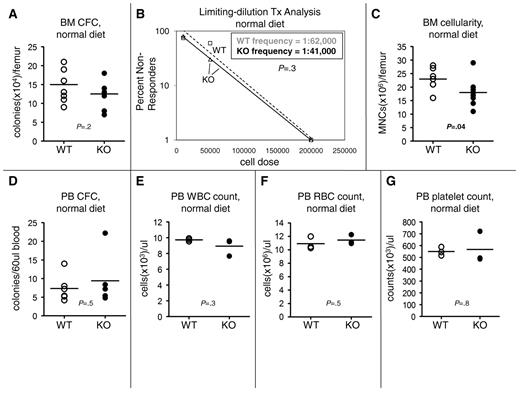 Figure 2. VDR loss alters BM hematopoiesis but not PB hematopoiesis. (A) No change in BM-resident colony number. VDR−/− and VDR+/+ animals were fed a normal diet immediately after weaning. At 8 weeks of age, animals were killed, and the bones were removed and crushed with a mortar and pestle. Total femur MNC numbers were obtained with a hemocytometer (trypan blue exclusion). MNCs were plated in M3434 methylcellulose (Stem Cell Technologies) and scored 12 days later for total colony (defined by a cluster of ≥ 20 cells) number. Colony number was then corrected for total BM MNC number per femur. Bars represent averages. Individual mice are represented by individual data points (n = 8). P value was calculated via an unpaired Student t test. (B) No change in BM HSC frequency. VDR−/− and VDR+/+ animals were fed a normal diet immediately after weaning. At 8 weeks of age, animals were killed, and the bones removed and crushed with a mortar and pestle. BM MNCs from 3 pooled VDR+/+ animals or 3 pooled VDR−/− animals (WT and KO were both CD45.2+) were competed at various doses (2 × 106, 2 × 105, 5 × 104, and 1 × 104) with a constant (2 × 105) number of CD45.1+ WT BM MNCs and transplanted into lethally irradiated (9.5 Gy) hosts (8-10 recipients per cell dose). Sixteen weeks after transplantation, multilineage reconstitution (B220; Gr-1 or CD11b; CD4 or CD8). All antibodies were purchased from BioLegend, BD Biosciences PharMingen, and eBioscience. Antibody clones used are as follows: GK1.5 (anti-CD4), 53-6.7 (anti-CD8a), RA3-6B2 (anti-B220), RB6-865 (anti–Gr-1), and M1/70 (anti-CD11b) in the PB obtained by tail vein nicking by VDR+/+ and VDR−/− donor cells was assessed, and recipient mice, which possessed less than 1% VDR donor cells in any one of the 3 lineages, were scored as nonresponders. Each one of the dosage groups was evaluated for nonresponders. The frequency of multilineage reconstituting HSCs in the original donor marrow was calculated from these data using Poisson statistics in the L-Calc software package (StemCell Technologies). For ease of graphing on a logarithmic scale, groups in which zero nonresponders were present were arbitrarily assigned a “1%” value in panel B (□ represents WT data points; ▵, KO data points). Broken line represents WT trend line; and solid line, KO trend line. P value for the comparison of VDR−/− and VDR+/+ HSC frequency was also calculated in L-Calc using Poisson statistics. (C) Decreased BM cellularity in VDR−/− animals. VDR−/− and VDR+/+ animals were fed a normal diet immediately after weaning. At 8 weeks of age, animals were killed, and the bones removed and crushed with a mortar and pestle. Total femur MNC numbers were obtained with a hemocytometer (trypan blue exclusion). Bars represent averages. Individual mice are represented by individual data points (n = 8). P value was calculated via an unpaired Student t test. (D) No change in PB HPC number. VDR−/− and VDR+/+ animals were fed a normal diet immediately after weaning. At 8 weeks of age, PB was obtained by tail vein nicking. The red blood cells (RBCs) in a defined volume of blood were lysed in ammonium chloride lysis buffer, and the resultant PB MNCs were plated in M3434 methylcellulose (StemCell Technologies) and scored 12 days later for total colony (defined by a cluster of ≥ 20 cells) number. Bars represent averages. Individual mice are represented by individual data points (n = 6). P value was calculated via an unpaired Student t test. (E) No change in PB white blood cell (WBC) count. VDR−/− and VDR+/+ animals (n = 3) were fed a normal diet immediately after weaning. At 8 weeks of age, PB was obtained by tail vein nicking. Complete blood counts (CBCs) were obtained using a Hemavet 850 (Drew Scientific). (F) No change in PB RBC count. VDR−/− and VDR+/+ animals (n = 3) were fed a normal diet immediately after weaning. At 8 weeks of age, PB was obtained by tail vein nicking. CBCs were obtained using a Hemavet 850 (Drew Scientific). (G) No change in PB platelet count. VDR−/− and VDR+/+ animals (n = 3) were fed a normal diet immediately after weaning. At 8 weeks of age, PB was obtained by tail vein nicking. CBCs were obtained using a Hemavet 850 (Drew Scientific).