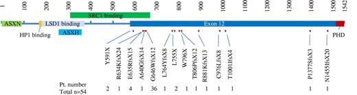 Figure 1. Schematic representation of the ASXL1 mutation in exon 12. The various domains of ASXL1 are labeled with reference of the amino acid numbers at the top of the figure. The numbers of patients with various types of mutation are also shown at the lower part of this figure.