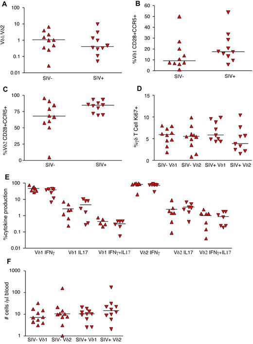 Figure 5. Lack of phenotypic and functional perturbations in peripheral blood γδ T cells during natural SIVagm infection. (A) Vδ1/Vδ2 ratio from infected (inverted triangles) and uninfected (triangles) AGMs. (B) Percentage of Vδ1 T cells expressing CD28 and CCR5 in infected and uninfected AGMs. (C) Percentage of Vδ2 T cells expressing CD28 and CCR5 in infected and uninfected AGMs. (D) Percentage of Vδ1 and Vδ2 T cells that express Ki67 in infected and uninfected AGMs. (E) IL-17 and IFNγ expression in PMA/ionomycin–stimulated peripheral blood Vδ1 and Vδ2 T cells from infected and uninfected AGMs. (F) Volumetric Vδ1 and Vδ2 T-cell counts in peripheral blood of uninfected and chronically SIV-infected AGMs. P values were calculated using the Mann-Whitney U test.