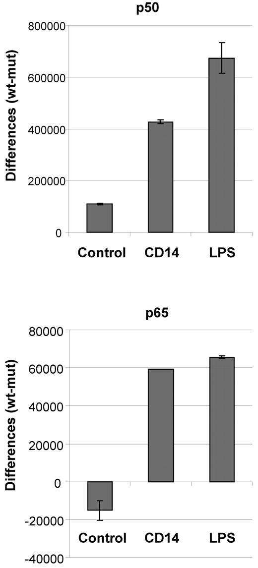 Figure 6. Soluble CD14 induces NFκB activity in CLL cells. CLL cells (1 × 107) were cultured for 20 hours in 1 mL of complete medium containing either 10 μg/mL soluble CD14 or 10 μg/mL LPS, or in plain medium. Cells were harvested, lysed and 5 μg total protein was used per well in an oligo-based chemiluminescent ELISA detecting the binding of p50 and p65 to oligos containing the NFκB consensus binding sequence. Values represent differences between signal and background (wt oligo − mut oligo) and are given as means and SDs of duplicates of one representative example of 3 independently performed experiments.