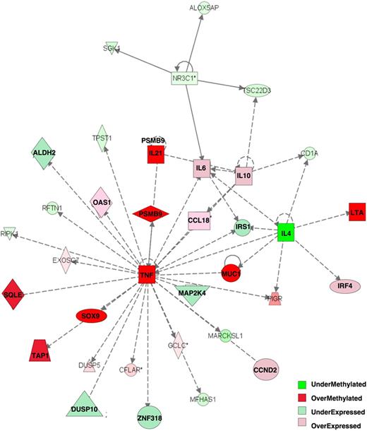Figure 3. Tumor necrosis factor α network is key epigenetically dysregulated network between ABC and GCB DLBCLs. Integration of 263 differentially methylated genes with 622 differentially expressed genes allowed identification of one main differentially regulated network with the use of Ingenuity Pathway Analysis software: Tumor Necrosis Factor α Pathway. Relative expression and methylation is represented by the ratio of ABC to GCB: overmethylated genes have greater methylation in ABC than in GCB DLBCLs, and overexpressed genes have greater expression in ABC than in GCB DLBCLs.