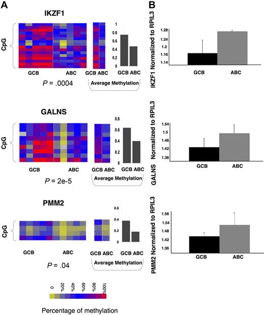 Figure 5. Single genes of 16-gene methylation signature can differentiate between ABC and GCB subtypes of primary DLBCLs across platforms. (A) Heatmaps represent EpiTYPER results for 3 of the 16 genes: IKZF1, GALNS, and PMM2 (for the rest of the 16 genes, see supplemental Figure 4), performed in 5 randomly selected ABC and 5 GCB primary DLBCL cases. Rows of the heatmap represent individual CpGs in the promoter regions with color reflecting methylation value; whereas columns represent individual cases with class label on the bottom. A t test with methylation values from all tested CpGs was performed between ABC and GCB subtypes, with P value represented below each heatmap. Panels in the middle show the methylation levels for each CpG averaged in ABC and GCB cases. Panels on the right show the average methylation level of all CpGs in ABC and GCB cases with error bar for standard deviation. (B) Q-PCR was performed in 5 ABC and 5 GCB DLBCLs with primers specific for IKZF1, GALNS, and PMM2. The amount of transcript was calculated by normalizing to internal control gene RPIL3 and is shown as an average within the subtype. It shows the trend for greater expression in ABC than GCB DLBCLs, which is inversely correlated with greater DNA methylation of the corresponding promoters.