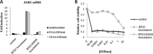 Figure 1:. (A) BTG1 knockdown leads to induction of ASNS expression in response to ASNase treatment. Expression of ASNS is efficiently suppressed in the BTG1/ASNS double knockdown cells. . / (B) Induction of ASNS expression in the BTG1 knockdown cells causes resistance to ASNase, which is completely reversed by silencing of ASNS mRNA expression.