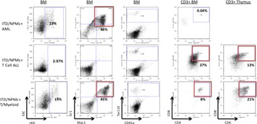 Figure 2. FACS analysis of leukemic mice BM cells and thymocytes. Mice with AML have cKit+/Mac1+/Gr1+ myelobasts. Mice with T cell ALL have infiltration of the BM, spleen (not shown) and thymus with CD3+/CD4+/CD8+ lymphoblasts. Mice with T/myeloid leukemia have both Mac1+/Gr1+ myeloblasts and CD3+/CD4+/CD8+ lymphoblasts. Leukemic mice have depletion of maturing Ter119+ erythroid cells.