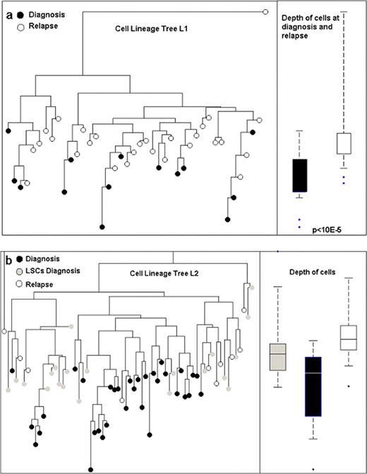 Figure 1. Phylogenetic trees of leukemia single cells at diagnosis and relapse from 2 AML patients. a, L1: Left – reconstructed lineage tree of CD33+ CD4+ CD15- peripheral blood (PB) individual leukemia cells at diagnosis (full, n=14); and relapse (blank, n=27) for patient L1; The root was determined by calculation of the median signal of all cells. Right - comparison of median depth between cells at diagnosis (full) and relapse (blank), (p<10^-5). b, L2: Left – reconstructed lineage tree of CD117+ PB individual leukemia blast cells at diagnosis (full, n=33), LSCs LIN-CD34+ CD38- CD90+ (gray, n=21) and relapse(blank, n=10) for patient L2. Right - Comparison of median depth between cells at diagnosis (full) and relapse (blank), (p=0.0001). Y axis represents depth in arbitrary units (logarithmic scale).