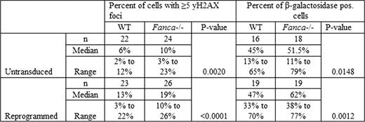 Increased dsDNA breaks (γH2AX foci) and senescence (β-galactosidase) in Fanca-/- fibroblasts four days post infection with reprogramming viruses.